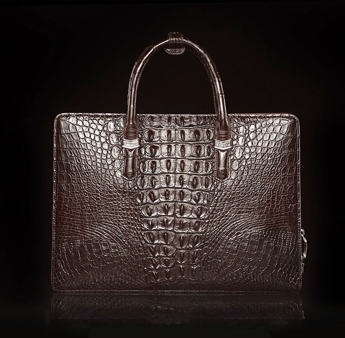 Alligator Bag for Your Vacation
