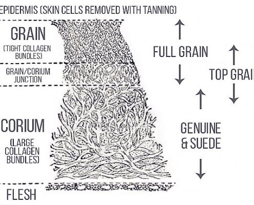 Types-of-Leather-Grains