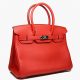 Hermès Birkin