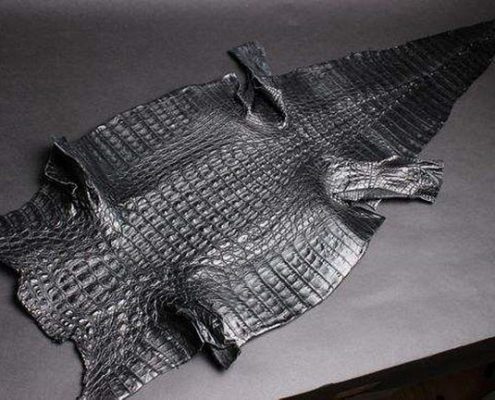 Crocodile Leather Texture