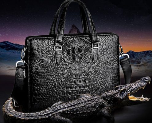 Alligator Briefcase and Crocodile Briefcase