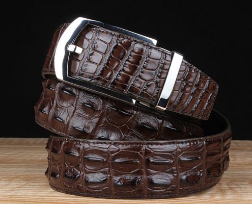Features of Crocodile Belts